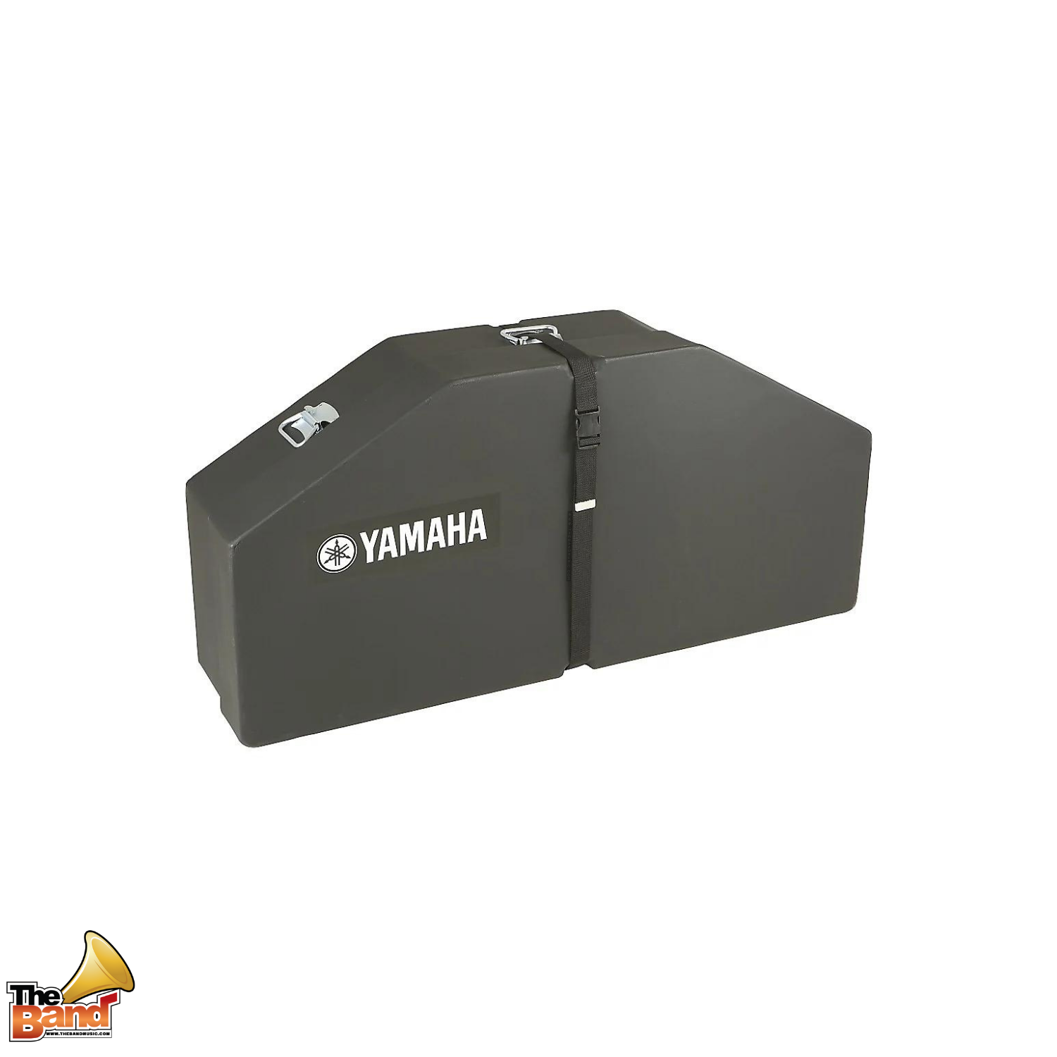 Multiple toms case