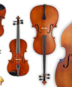 เครื่องสาย String Instrument