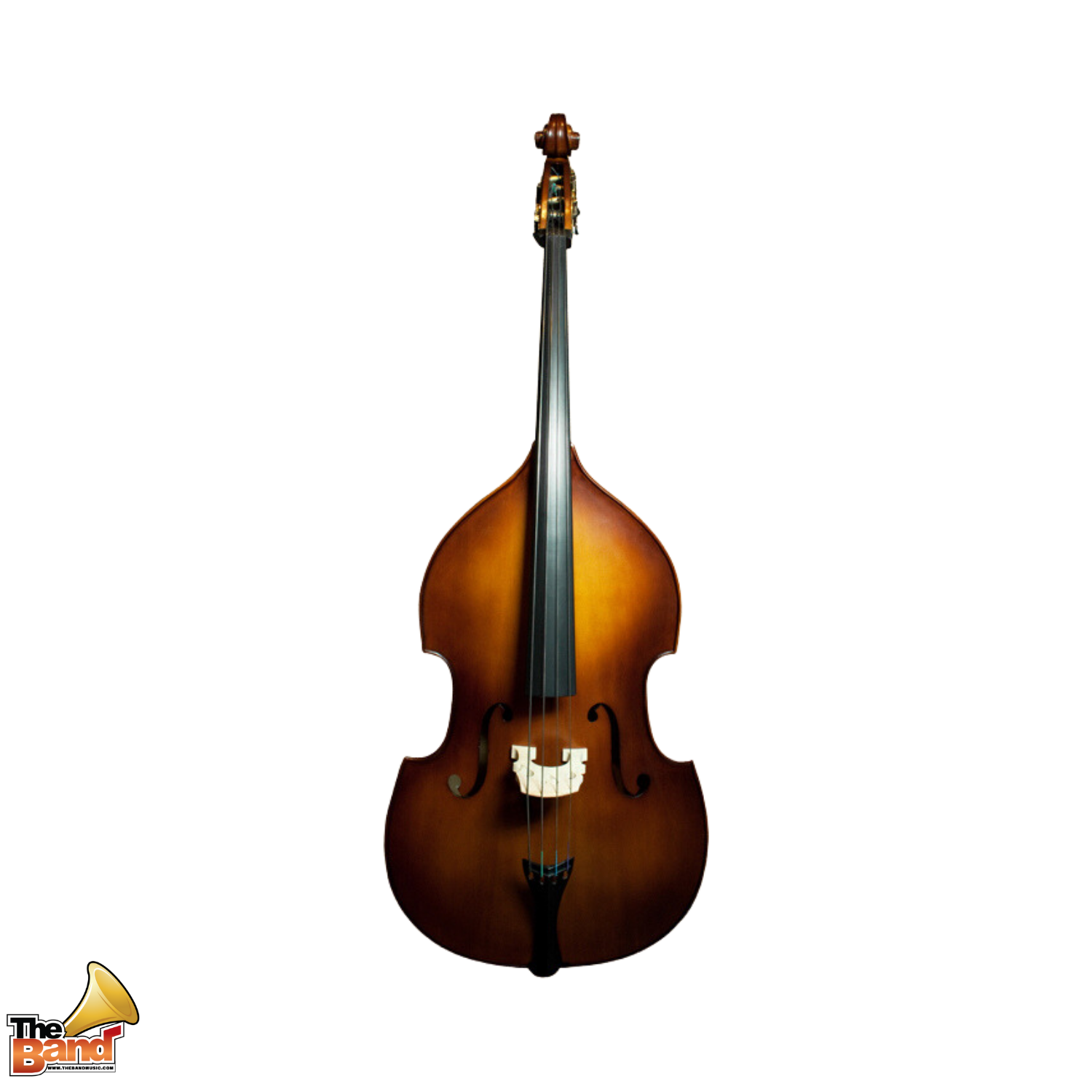 Synwin Double Bass SVCDB1001