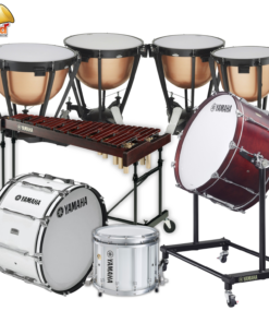 เพอร์คัสชั่น&พิทเพอร์คัสชั่น Percussion&Pitch Percussion