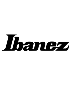 IBANEZ Electric Guitar