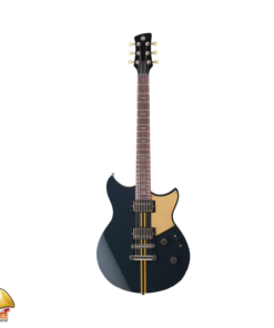 YAMAHA RSP20X