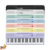 THE ONE COLOR 61 KEYS