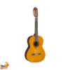 CX40 Natural