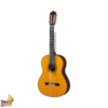 GC42C Natural