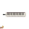 YAMAHA P-37EBR