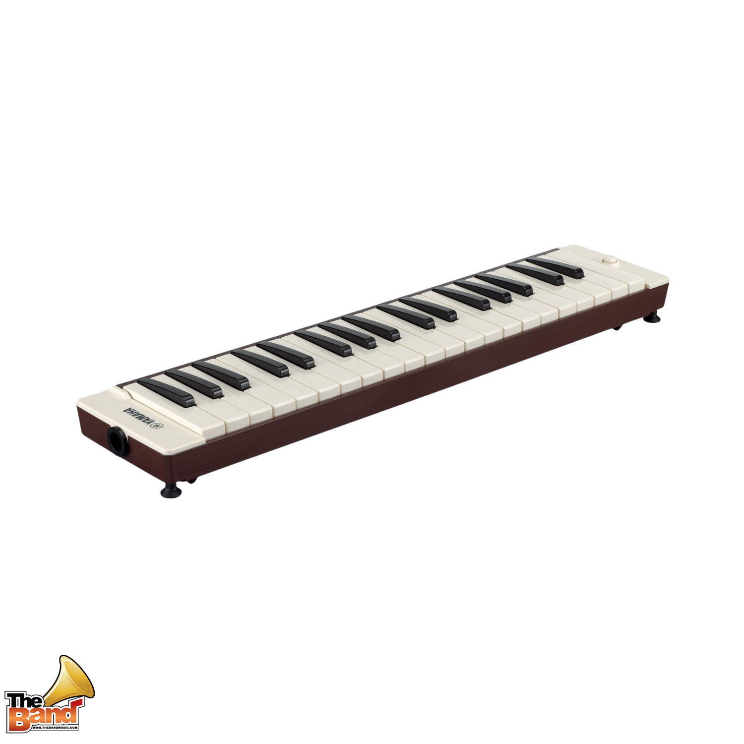 YAMAHA P-37EBR (3)