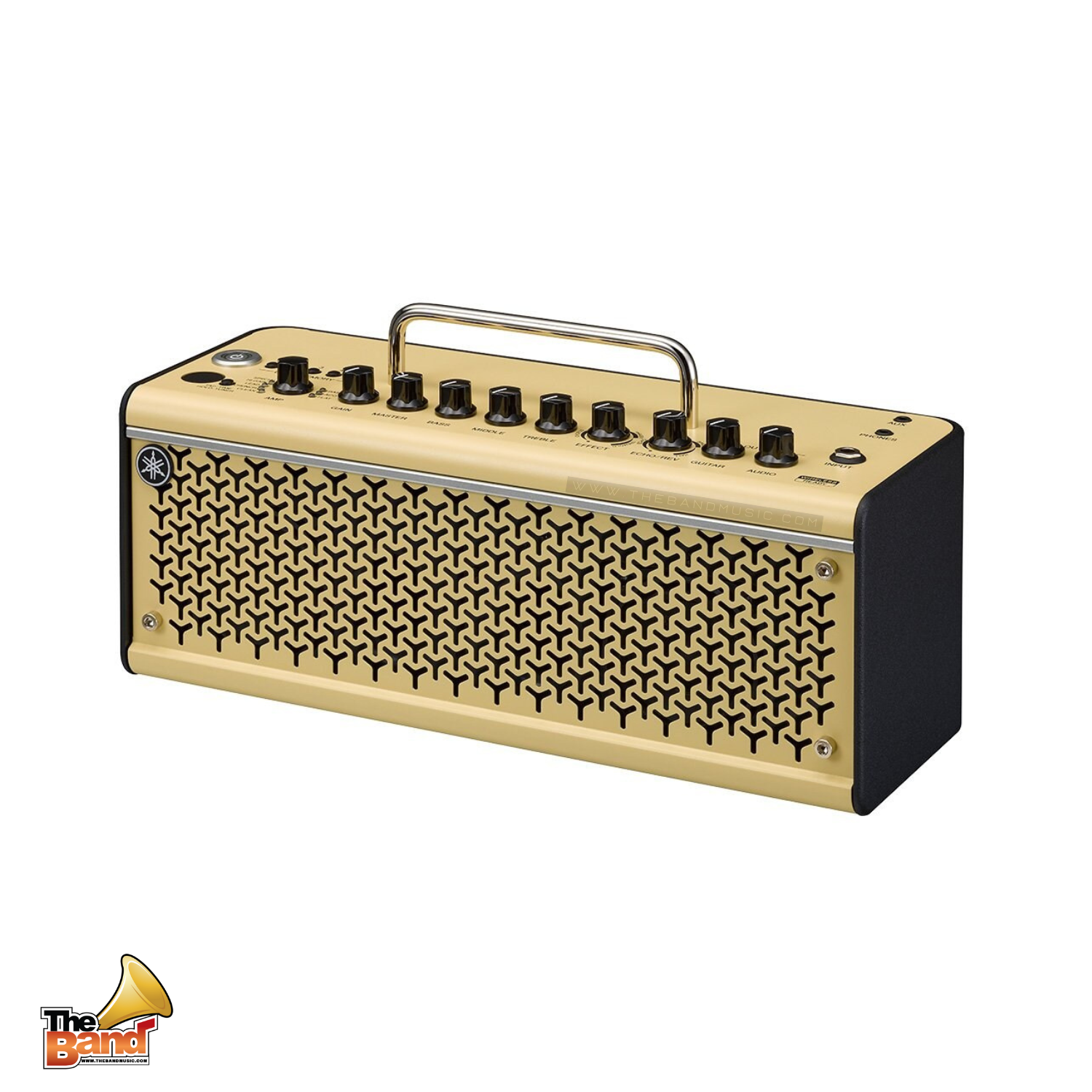 THR30II Wireless