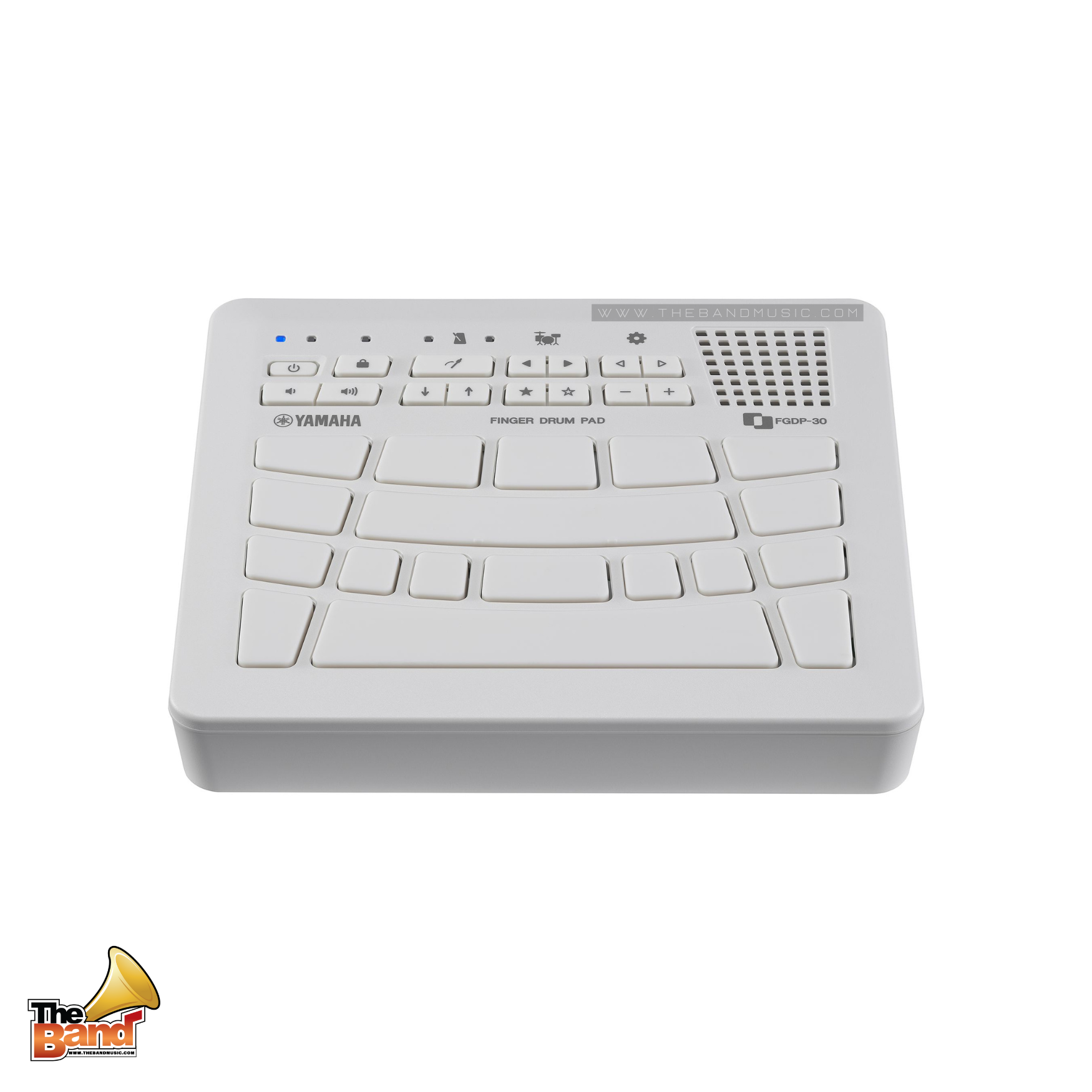 YAMAHA FGDP-30