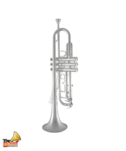 Bach Trumpet in B♭ Student BTR211S