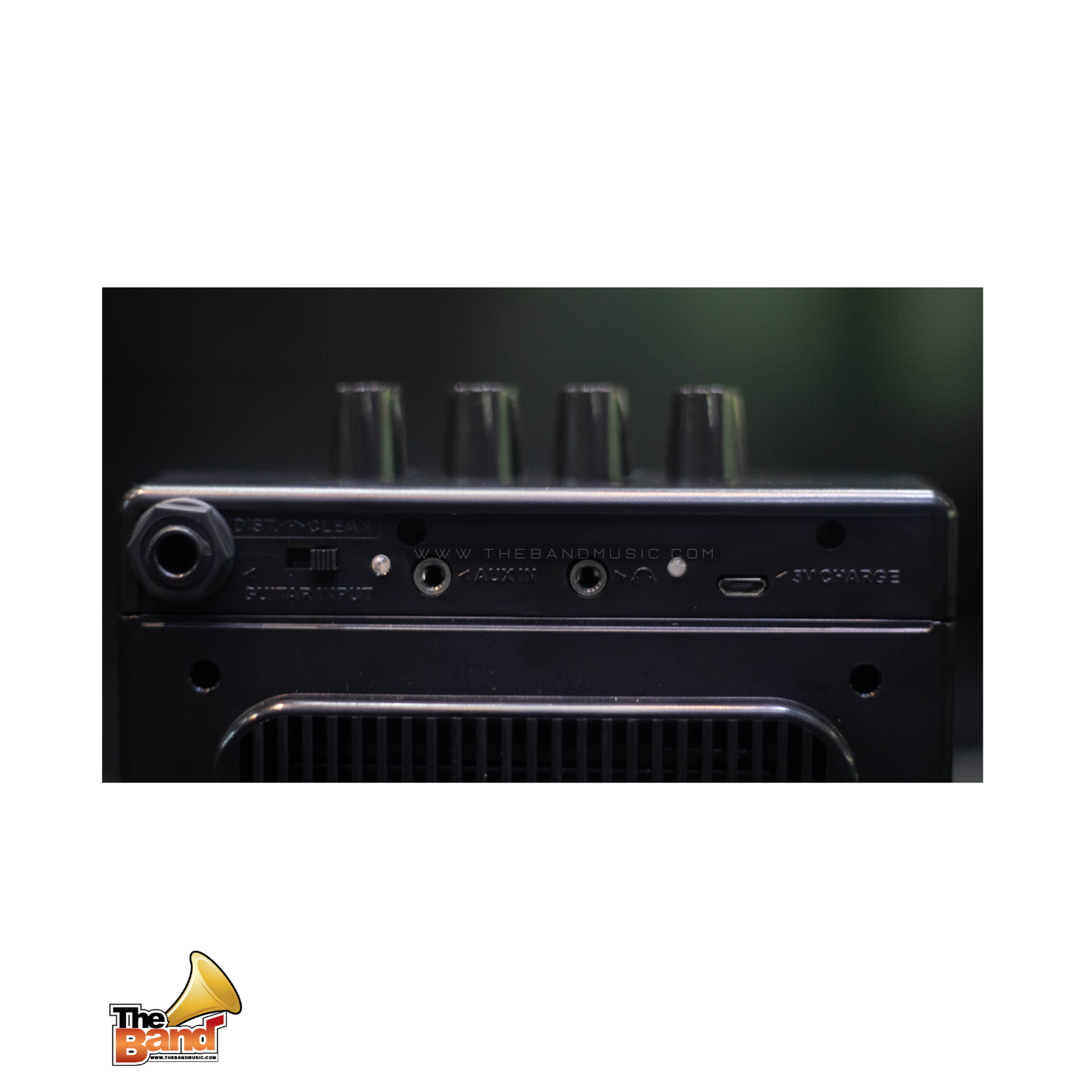 CALINE scuru S1 Mini Bass amp (3)