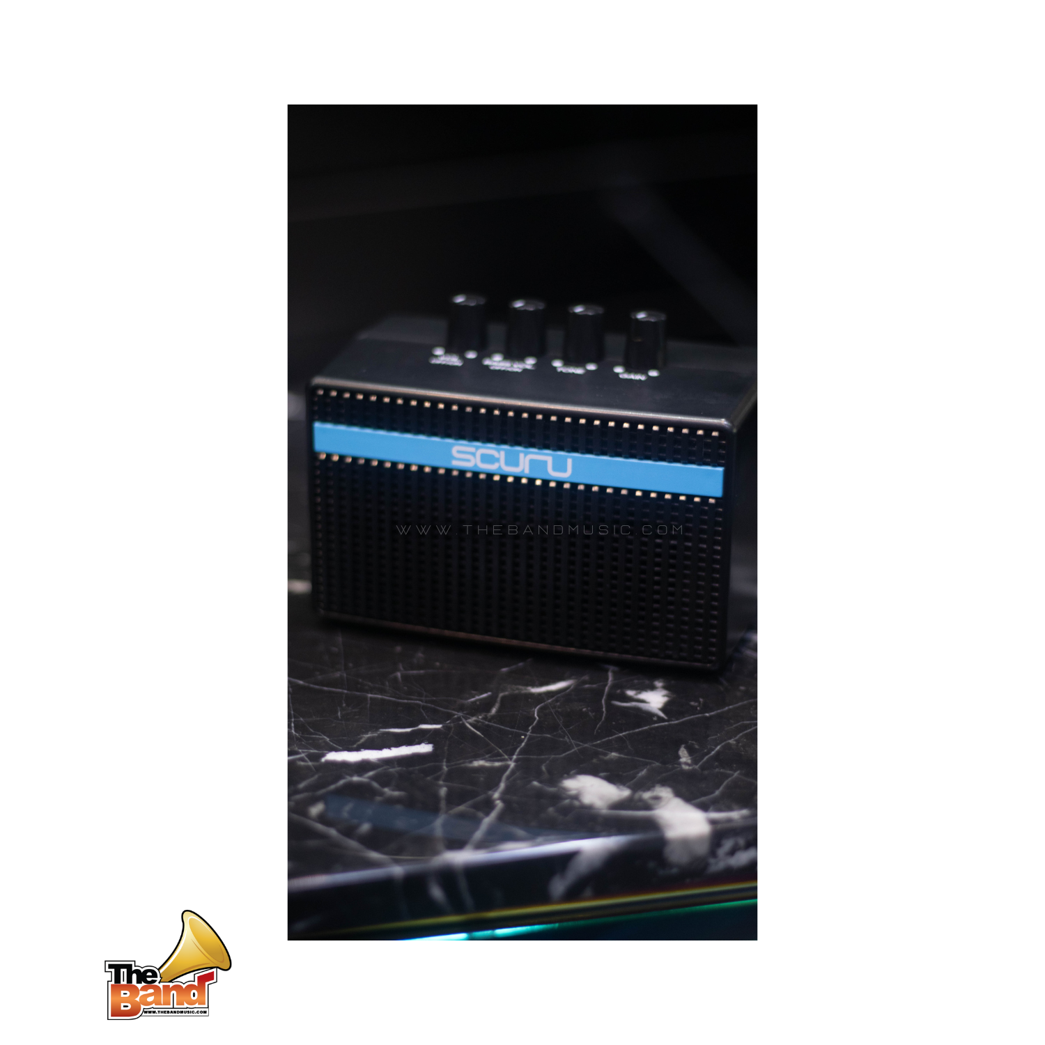 CALINE scuru S1 Mini Bass amp (4)