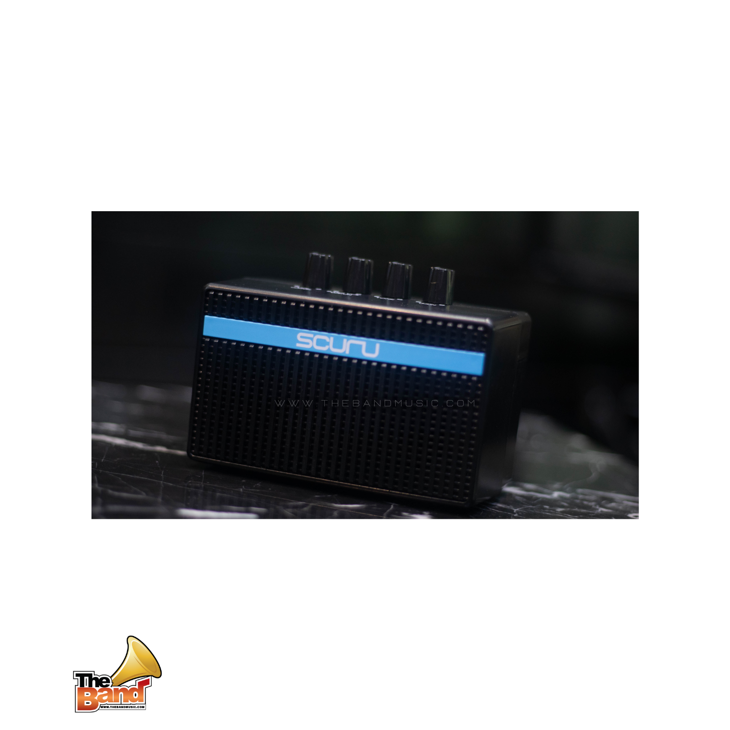 CALINE scuru S1 Mini Bass amp (6)