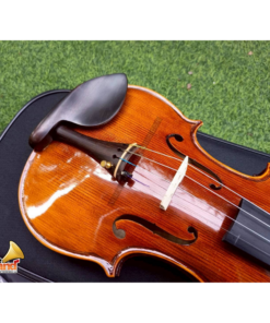 Violin Adagio Model Hi-End