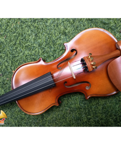 Violin Adagio Model Standard