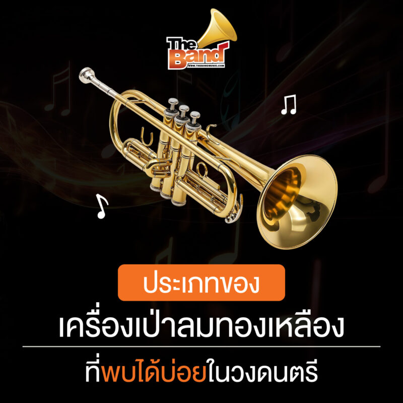ประเภทของเครื่องเป่าลมทองเหลืองที่พบได้บ่อยในวงดนตรี