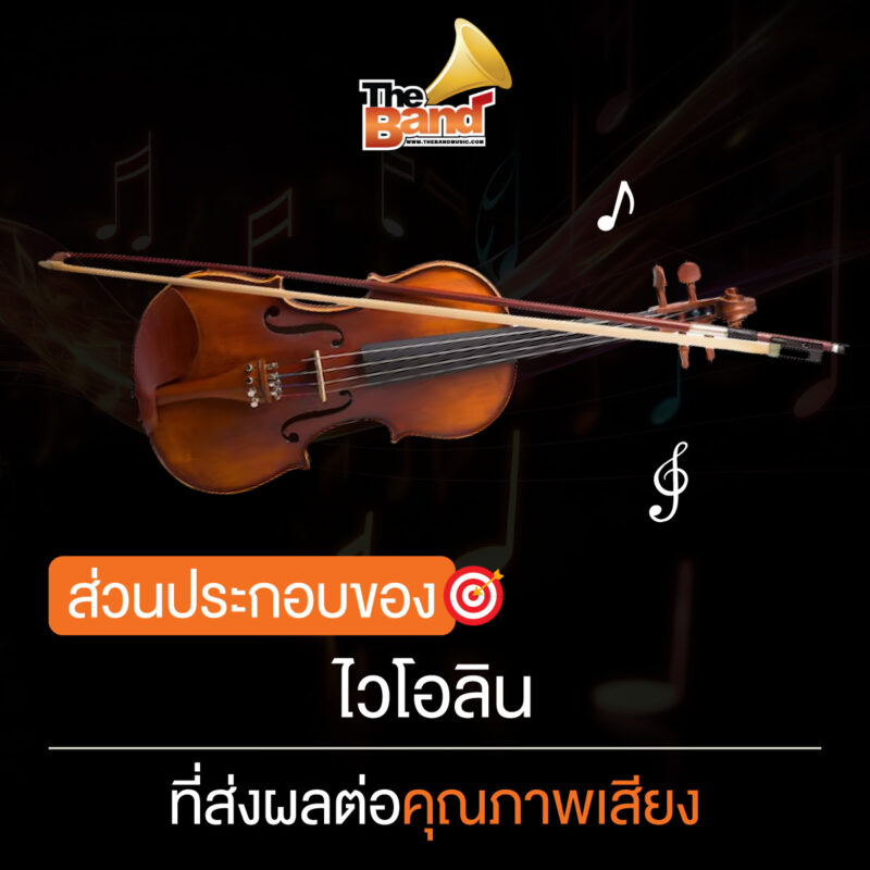 ส่วนประกอบของไวโอลินที่ส่งผลต่อคุณภาพเสียง