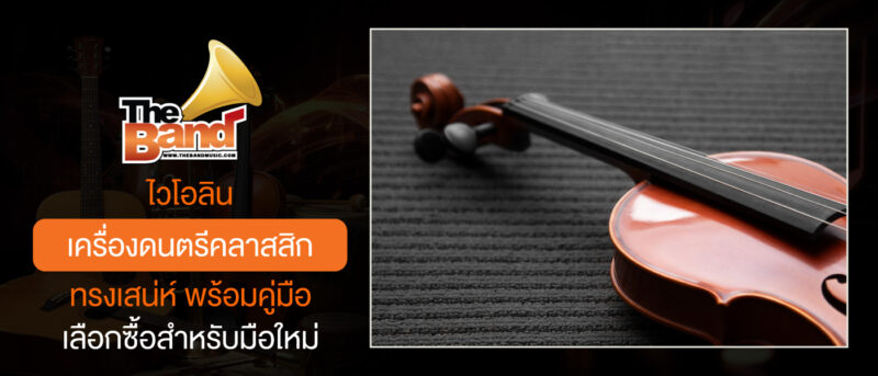 ไวโอลิน เครื่องดนตรีคลาสสิกทรงเสน่ห์ พร้อมคู่มือเลือกซื้อสำหรับมือใหม่