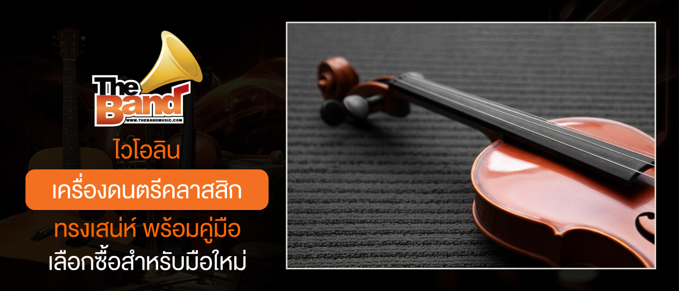 ไวโอลิน เครื่องดนตรีคลาสสิกทรงเสน่ห์ พร้อมคู่มือเลือกซื้อสำหรับมือใหม่